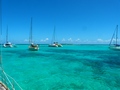 La Paloma in den Tobago Cays, Genadines - Karibik 2013